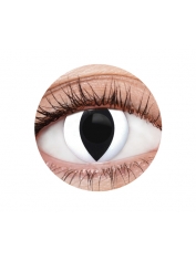 White Cat Contact Lenses - Colored Contact Lenses